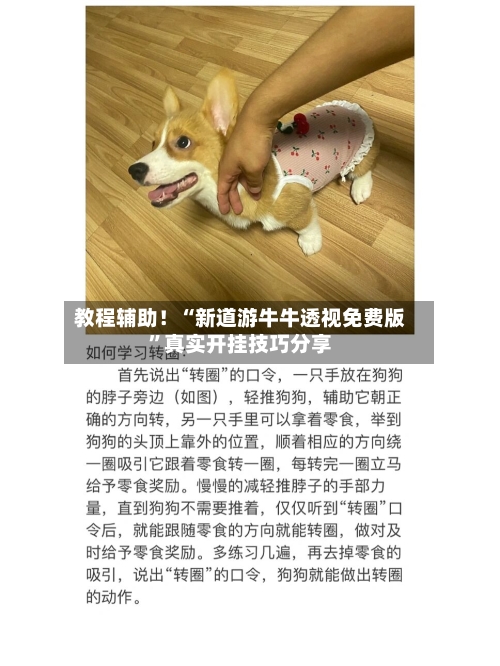 教程辅助！“新道游牛牛透视免费版”真实开挂技巧分享