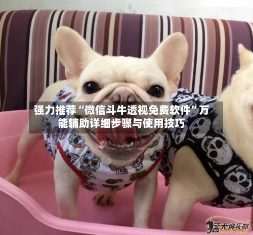 强力推荐“微信斗牛透视免费软件”万能辅助详细步骤与使用技巧-第1张图片