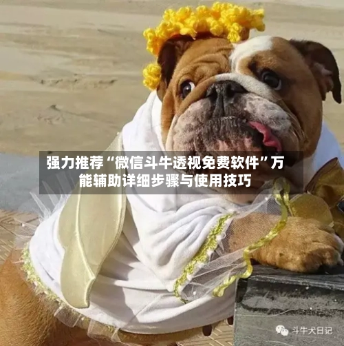 强力推荐“微信斗牛透视免费软件”万能辅助详细步骤与使用技巧-第2张图片