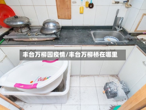 丰台万柳园疫情/丰台万柳桥在哪里