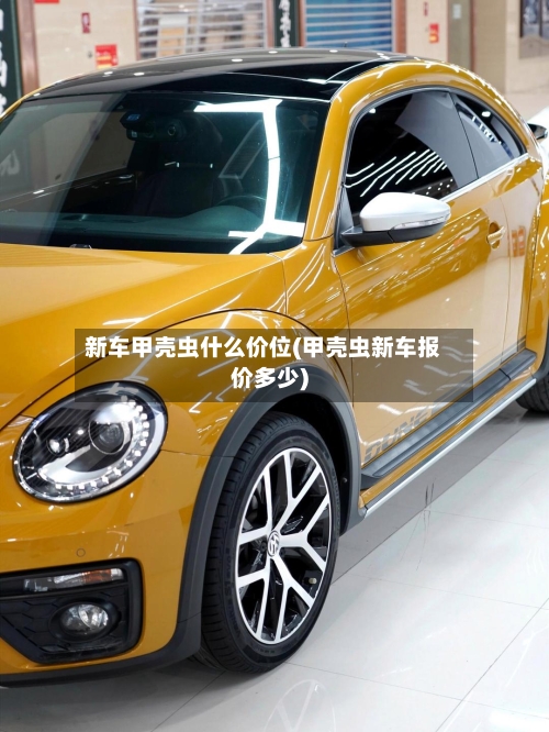 新车甲壳虫什么价位(甲壳虫新车报价多少)