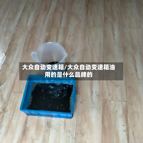 大众自动变速箱/大众自动变速箱油用的是什么品牌的