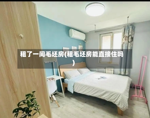 租了一间毛坯房(租毛坯房能直接住吗)-第1张图片