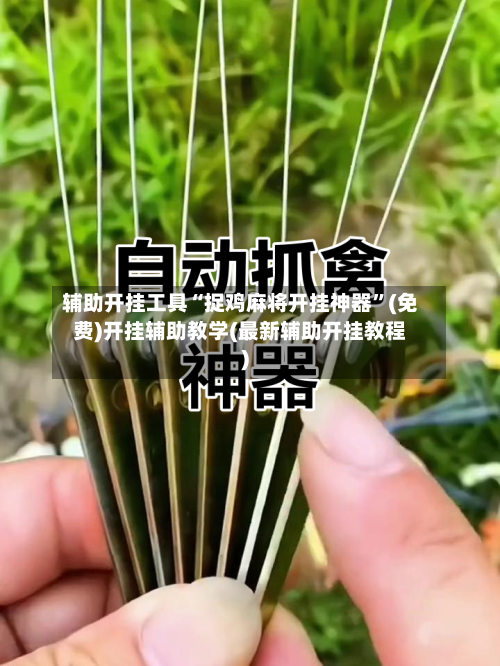 辅助开挂工具“捉鸡麻将开挂神器”(免费)开挂辅助教学(最新辅助开挂教程)-第3张图片