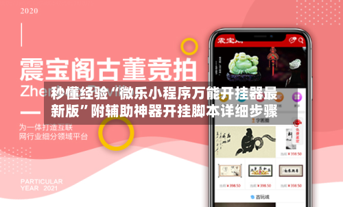 秒懂经验“微乐小程序万能开挂器最新版	”附辅助神器开挂脚本详细步骤-第2张图片