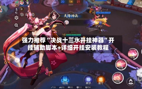 强力推荐“决战十三水开挂神器	”开挂辅助脚本+详细开挂安装教程-第3张图片