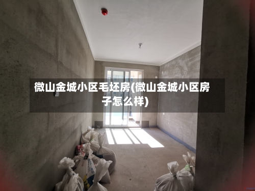 微山金城小区毛坯房(微山金城小区房子怎么样)-第1张图片