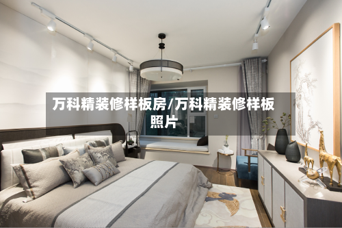 万科精装修样板房/万科精装修样板照片