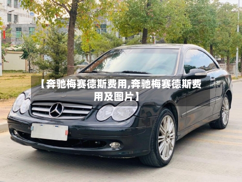 【奔驰梅赛德斯费用,奔驰梅赛德斯费用及图片】-第1张图片