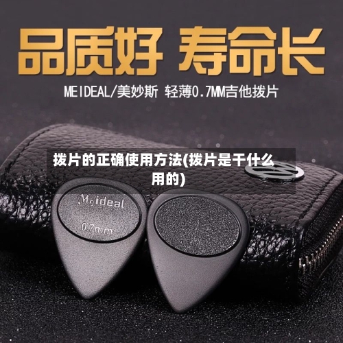 拨片的正确使用方法(拨片是干什么用的)