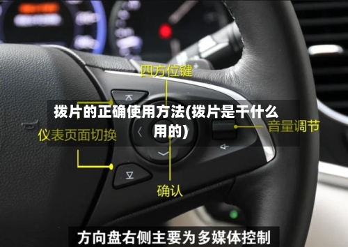 拨片的正确使用方法(拨片是干什么用的)-第2张图片