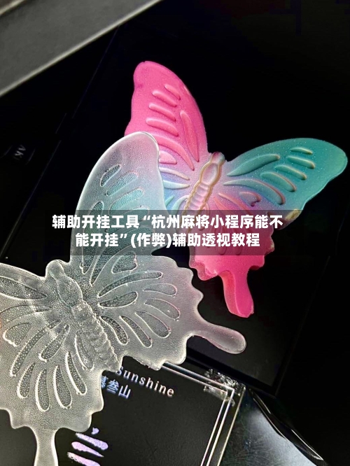 辅助开挂工具“杭州麻将小程序能不能开挂”(作弊)辅助透视教程-第1张图片