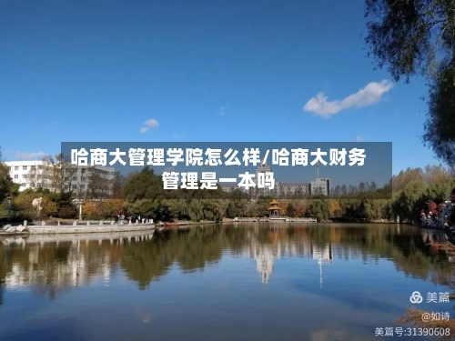 哈商大管理学院怎么样/哈商大财务管理是一本吗-第2张图片