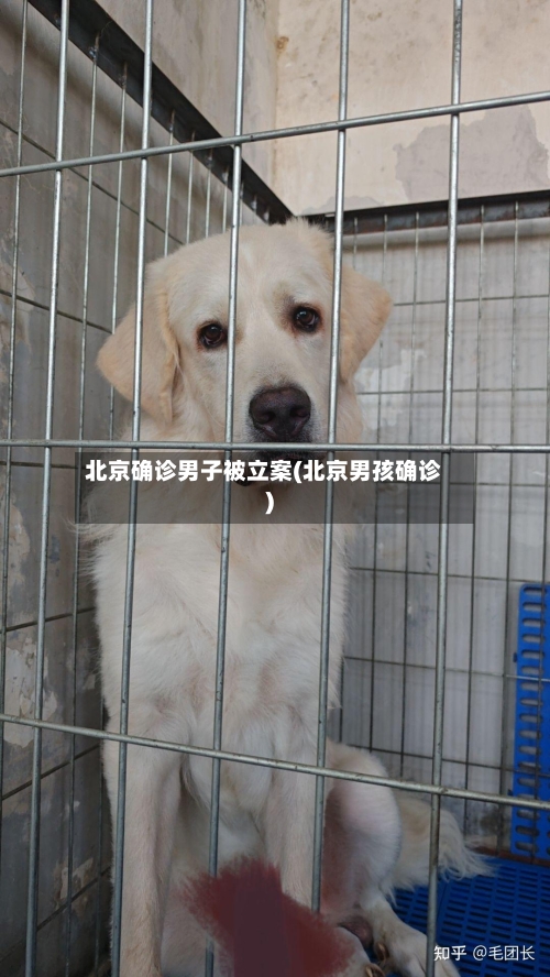 北京确诊男子被立案(北京男孩确诊)-第2张图片