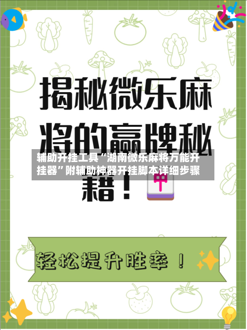 辅助开挂工具“湖南微乐麻将万能开挂器”附辅助神器开挂脚本详细步骤-第3张图片