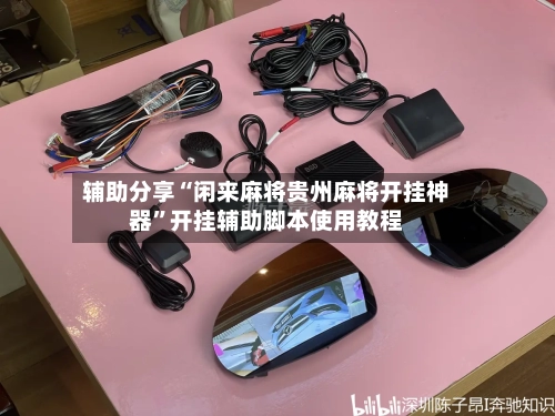 辅助分享“闲来麻将贵州麻将开挂神器	”开挂辅助脚本使用教程-第2张图片