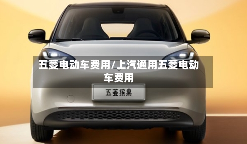 五菱电动车费用/上汽通用五菱电动车费用