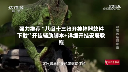强力推荐“八闽十三张开挂神器软件下载”开挂辅助脚本+详细开挂安装教程
