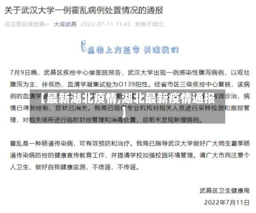 【最新湖北疫情,湖北最新疫情通报】-第3张图片