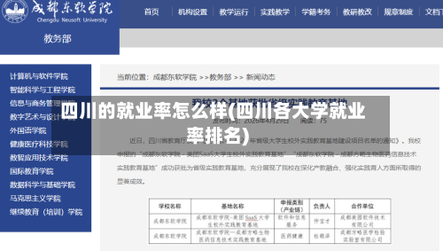 四川的就业率怎么样(四川各大学就业率排名)