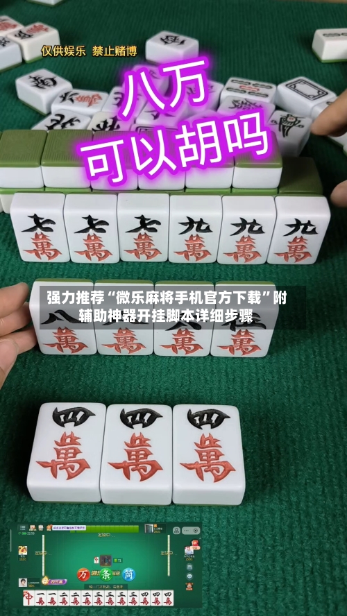 强力推荐“微乐麻将手机官方下载”附辅助神器开挂脚本详细步骤-第2张图片