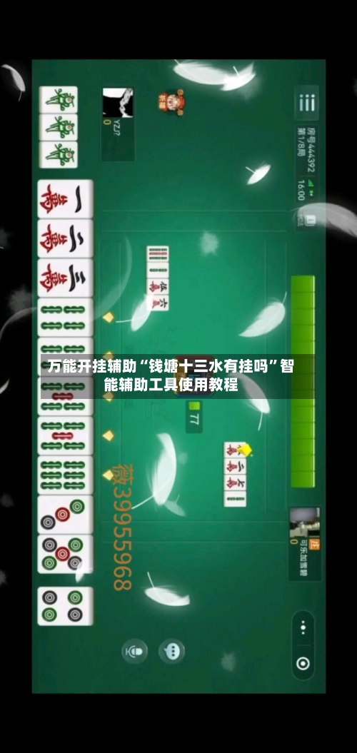 万能开挂辅助“钱塘十三水有挂吗”智能辅助工具使用教程-第2张图片