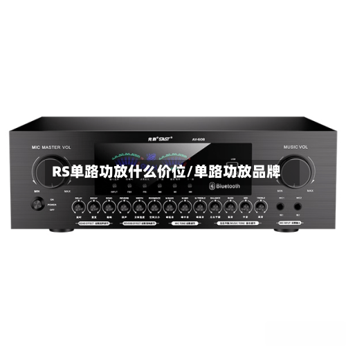 RS单路功放什么价位/单路功放品牌-第3张图片