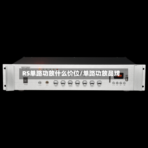 RS单路功放什么价位/单路功放品牌-第1张图片