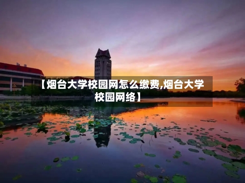 【烟台大学校园网怎么缴费,烟台大学校园网络】-第3张图片