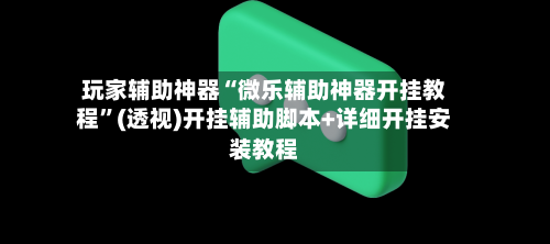 玩家辅助神器“微乐辅助神器开挂教程	”(透视)开挂辅助脚本+详细开挂安装教程-第3张图片