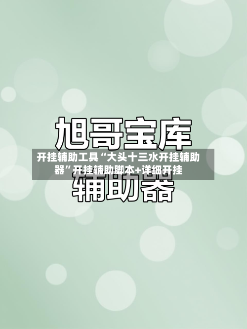 开挂辅助工具“大头十三水开挂辅助器	”开挂辅助脚本+详细开挂-第1张图片