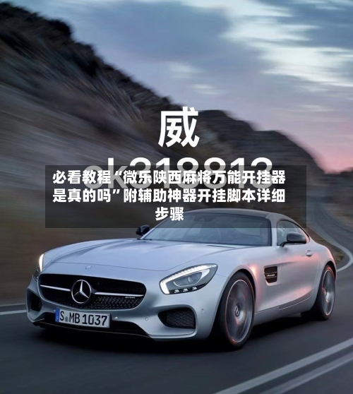 必看教程“微乐陕西麻将万能开挂器是真的吗”附辅助神器开挂脚本详细步骤-第2张图片