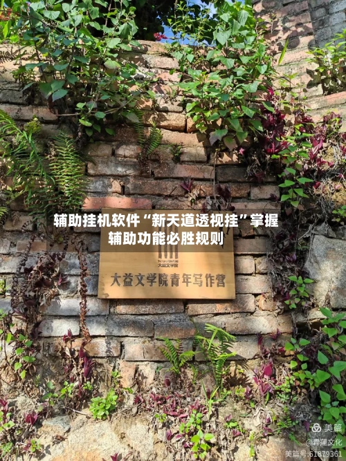 辅助挂机软件“新天道透视挂	”掌握辅助功能必胜规则-第1张图片