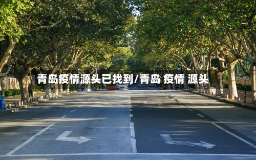 青岛疫情源头已找到/青岛 疫情 源头
