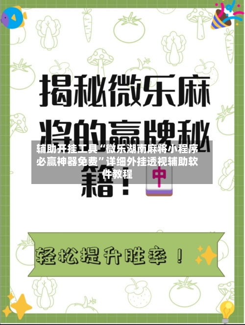 辅助开挂工具“微乐湖南麻将小程序必赢神器免费	”详细外挂透视辅助软件教程-第2张图片