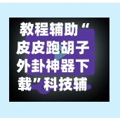 教程辅助“皮皮跑胡子外卦神器下载	”科技辅助神器手机版-第3张图片