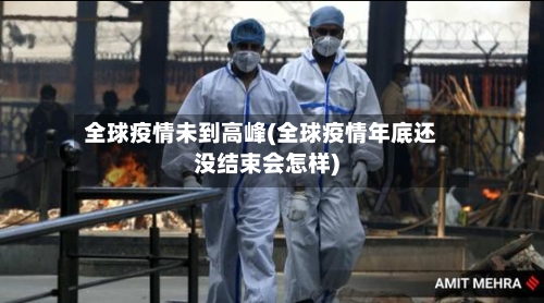 全球疫情未到高峰(全球疫情年底还没结束会怎样)