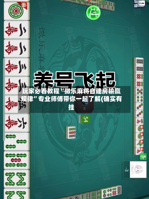 玩家必看教程“微乐麻将自建房输赢规律”专业师傅带你一起了解(确实有挂