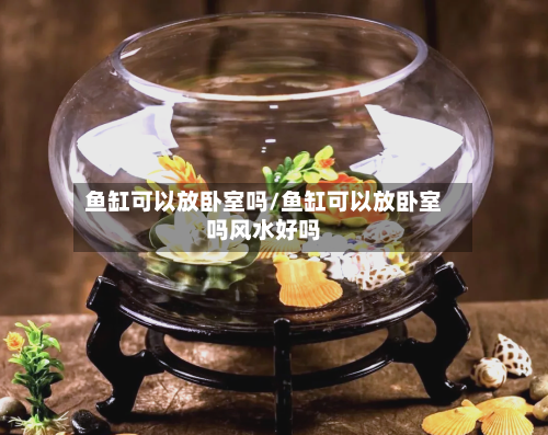 鱼缸可以放卧室吗/鱼缸可以放卧室吗风水好吗