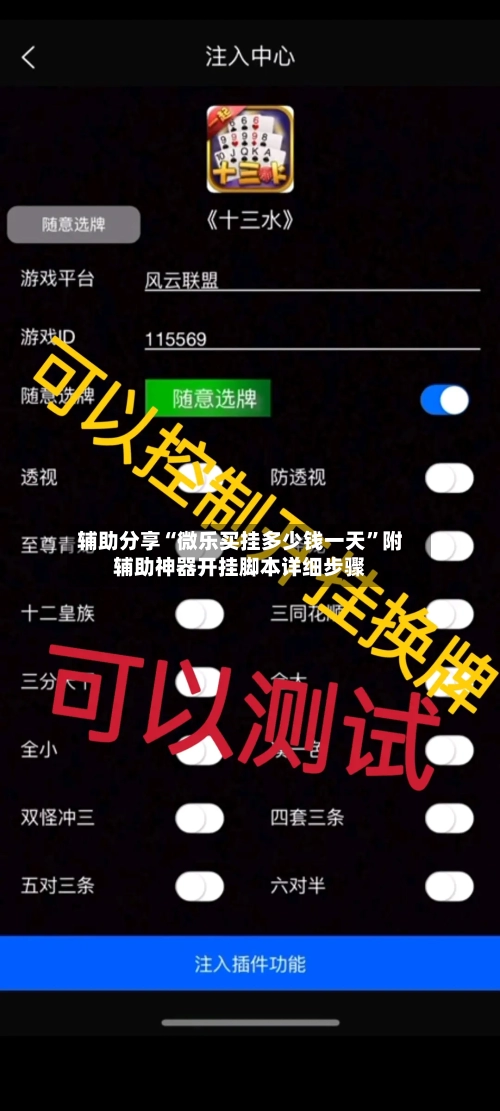 辅助分享“微乐买挂多少钱一天”附辅助神器开挂脚本详细步骤-第2张图片