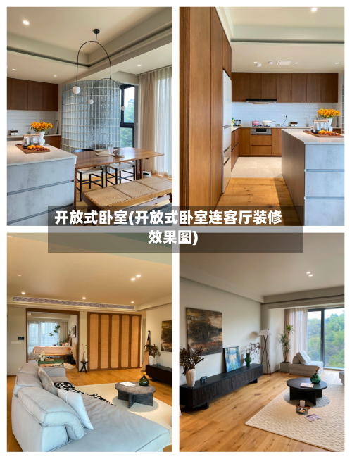 开放式卧室(开放式卧室连客厅装修效果图)-第2张图片