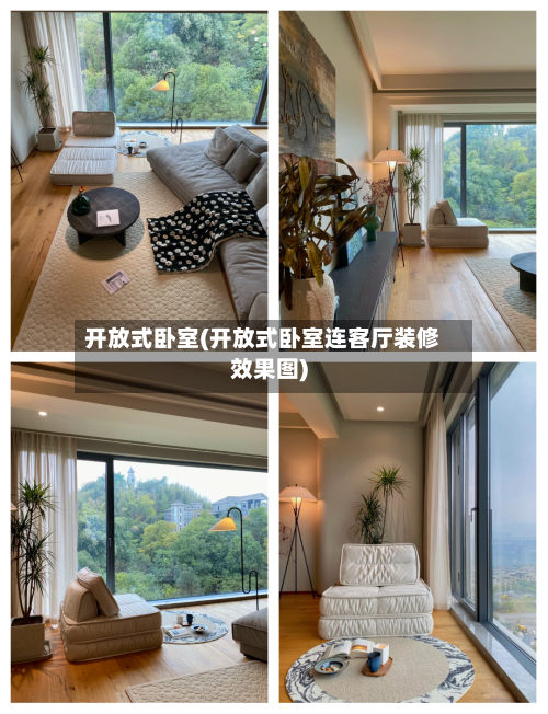 开放式卧室(开放式卧室连客厅装修效果图)-第3张图片