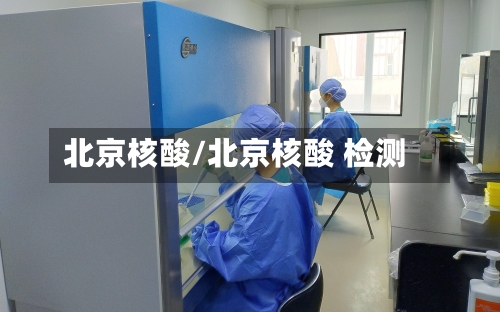 北京核酸/北京核酸 检测-第3张图片