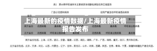 上海最新的疫情数据/上海最新疫情报告发布-第2张图片