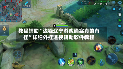 教程辅助“边锋辽宁游戏确实真的有挂	”详细外挂透视辅助软件教程-第2张图片