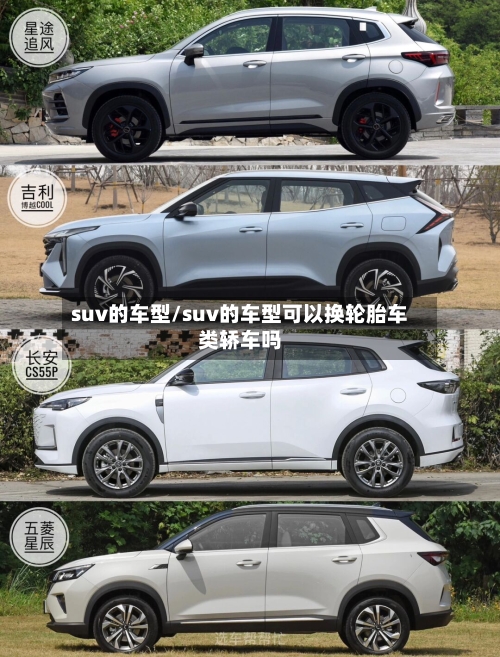 suv的车型/suv的车型可以换轮胎车类轿车吗-第3张图片