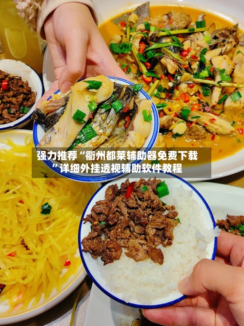 强力推荐“衢州都莱辅助器免费下载”详细外挂透视辅助软件教程