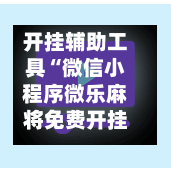 开挂辅助工具“微信小程序微乐麻将免费开挂”智能透视稳定辅助-第3张图片
