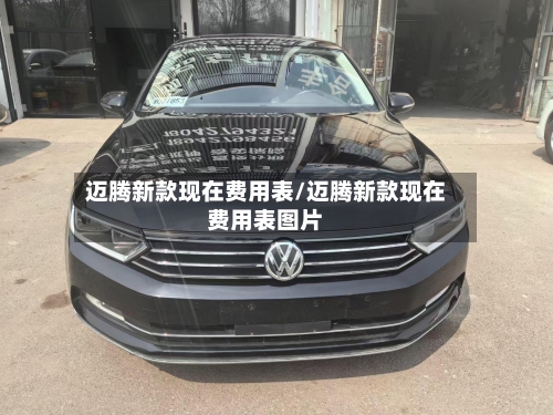 迈腾新款现在费用表/迈腾新款现在费用表图片