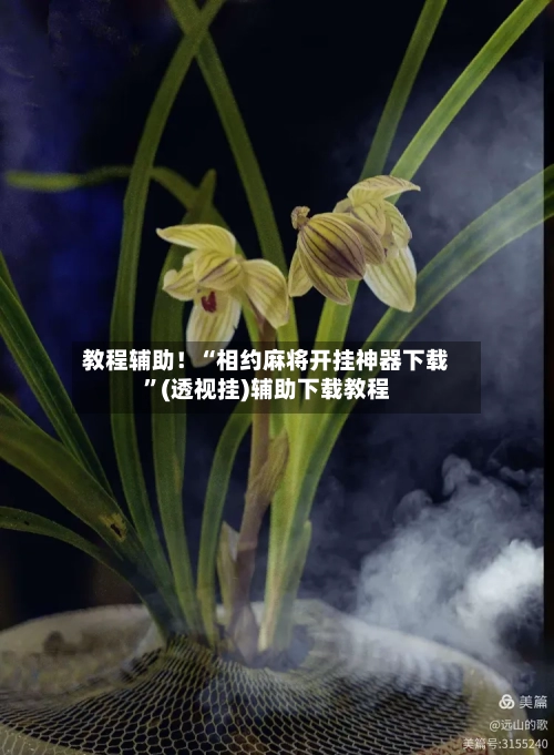 教程辅助！“相约麻将开挂神器下载”(透视挂)辅助下载教程